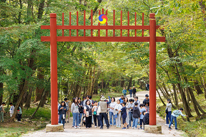 조선왕릉축전 왕의 숲길 나무이야기