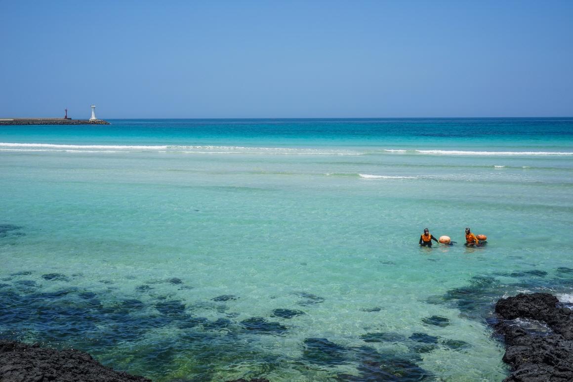 세화해변 사진