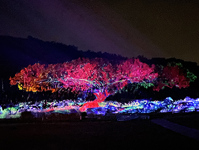 Miracle at Twilight, Gochang